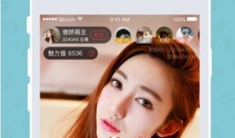 华人社区直播91,探索多元文化魅力，共筑线上家园